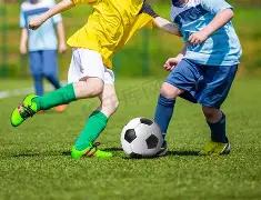 王一博韩红,携手助力郑,共抗灾情,宝威体育官方,宝威体育在线官网,宝威体育线上,宝威体育APP