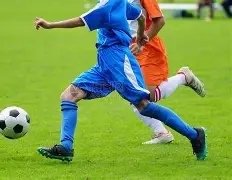 全球体育机,构共筑自救,防线,宝威体育官方,宝威体育在线官网,宝威体育线上,宝威体育APP