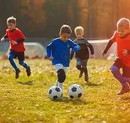 宝威体育,产品,宝威体育官方,宝威体育官方,宝威体育在线官网,宝威体育线上,宝威体育APP