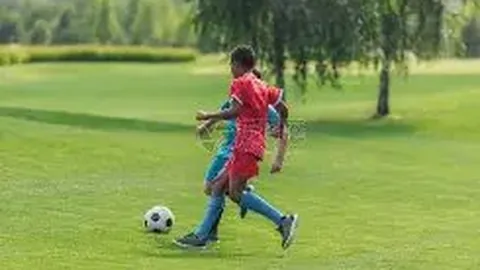 宝威体育 产品 084937 d4t