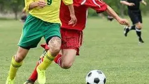 宝威体育 资讯 143814 rjt